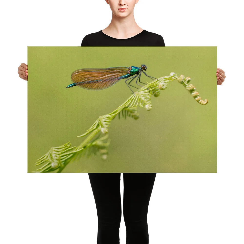 Osprey-Hanging-on-tight-W-17th-September_Forglet-Face-23rd-May_Beautiful-Da_mockup_Person_Person_24x36.jpg
