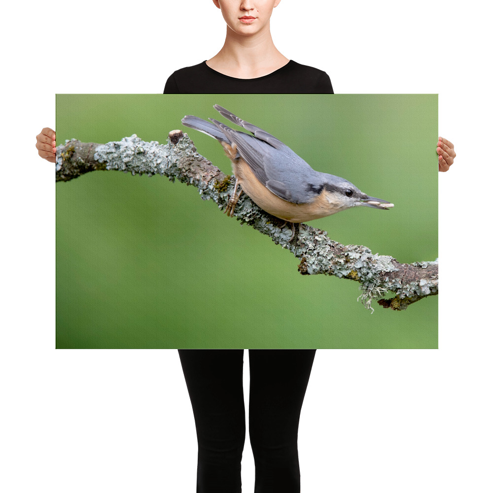 Nuthatch-2-19th-August-W_mockup_Person_Person_24x36.jpg