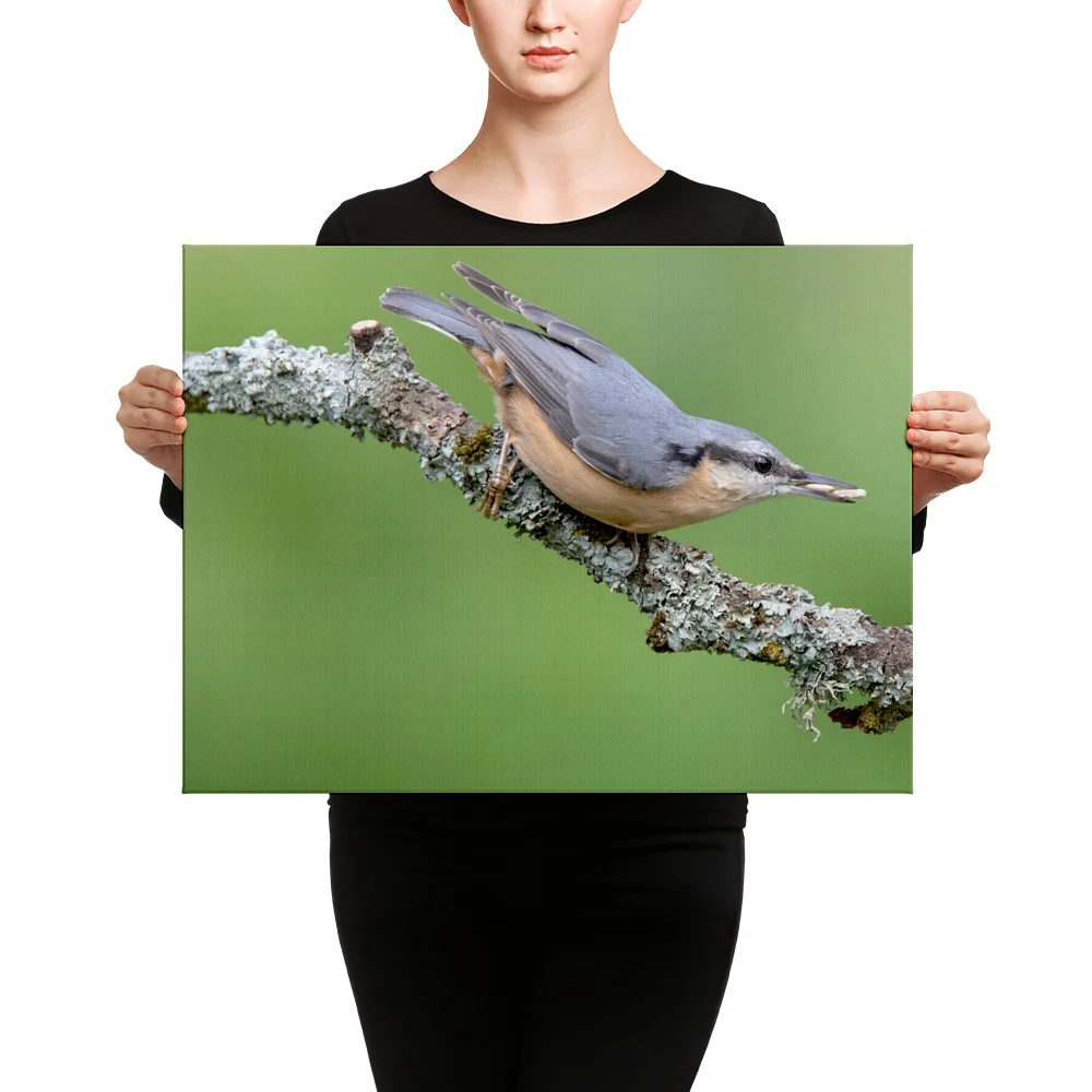 Nuthatch-2-19th-August-W_mockup_Person_Person_18x24.jpg