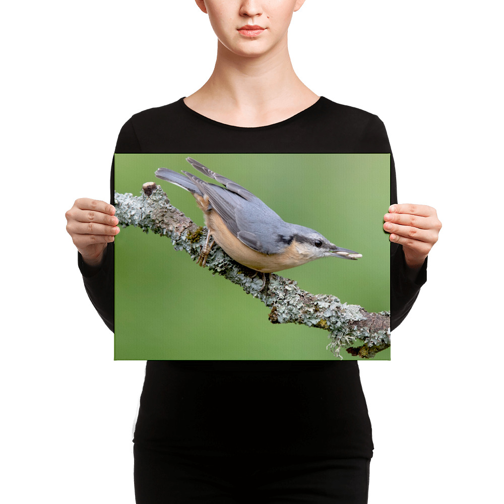 Nuthatch-2-19th-August-W_mockup_Person_Person_12x16.jpg
