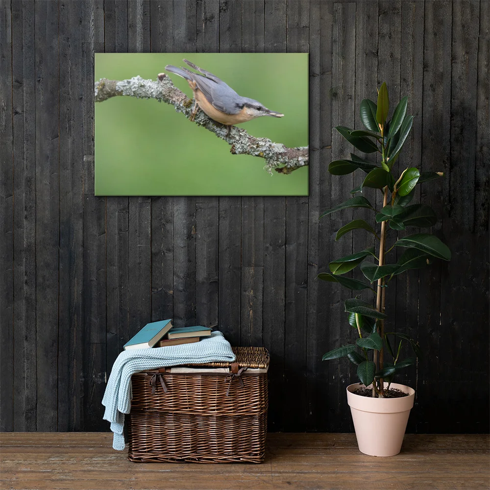 Nuthatch-2-19th-August-W_mockup_Lifestyle_Lifestyle_24x36.jpg