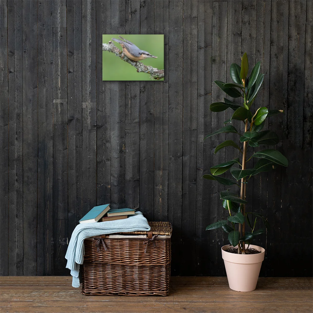 Nuthatch-2-19th-August-W_mockup_Lifestyle_Lifestyle_12x16.jpg