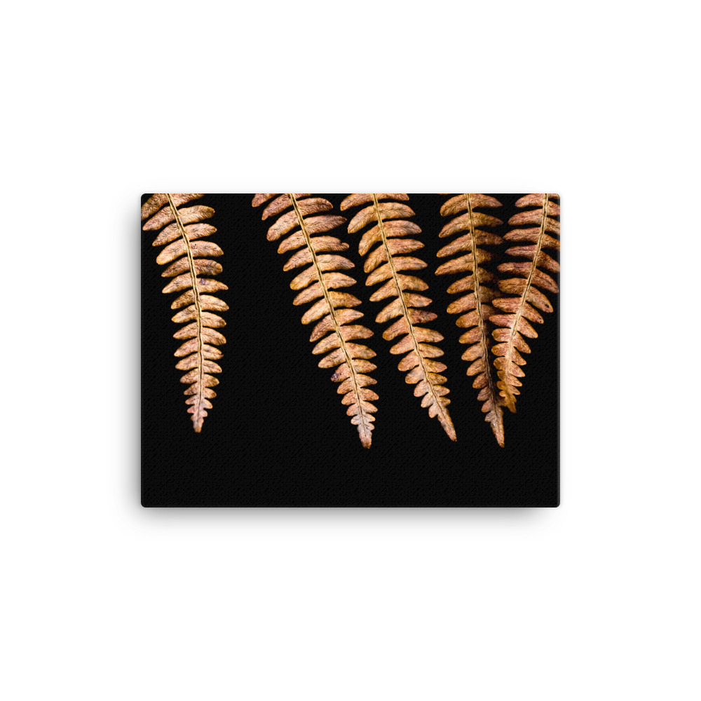 Autunn-Bracken-W-6th-November_mockup_Wall_Wall_12x16.jpg