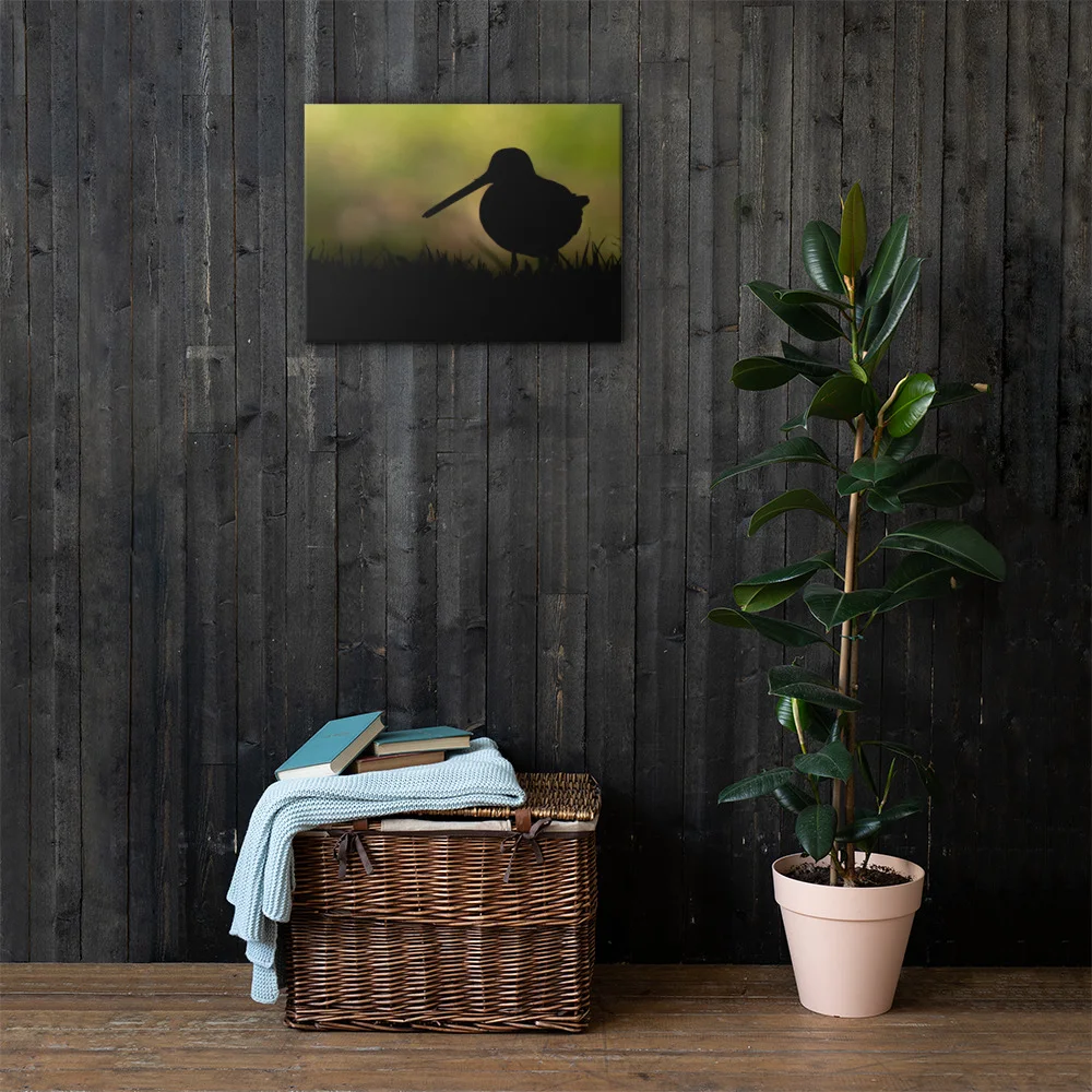 Snipe-Backlit-W-30th-October_mockup_Lifestyle_Lifestyle_18x24.jpg