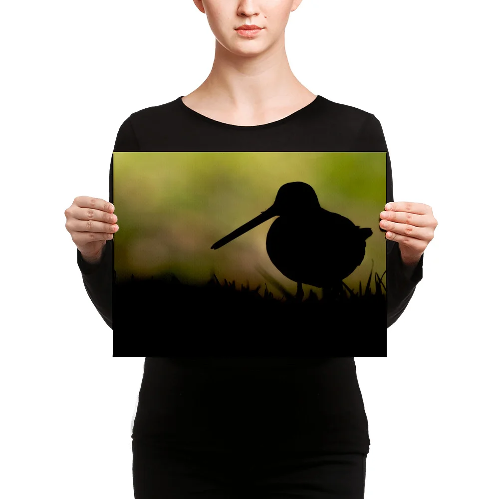 Snipe-Backlit-W-30th-October_mockup_Person_Person_12x16.jpg