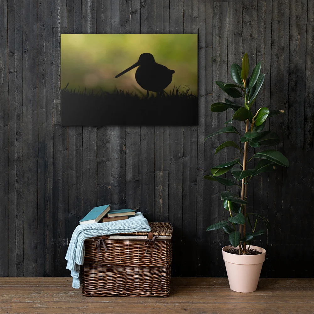 Snipe-Backlit-W-30th-October_mockup_Lifestyle_Lifestyle_24x36.jpg