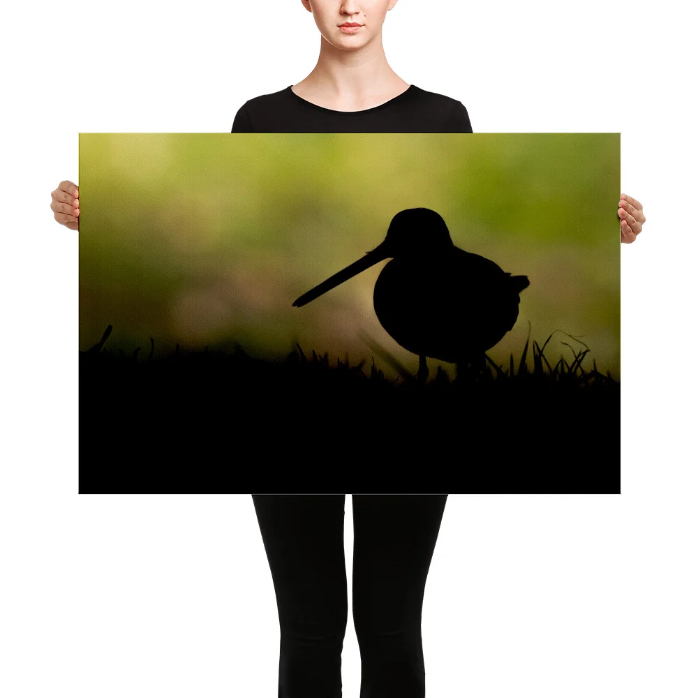 Snipe-Backlit-W-30th-October_mockup_Person_Person_24x36.jpg