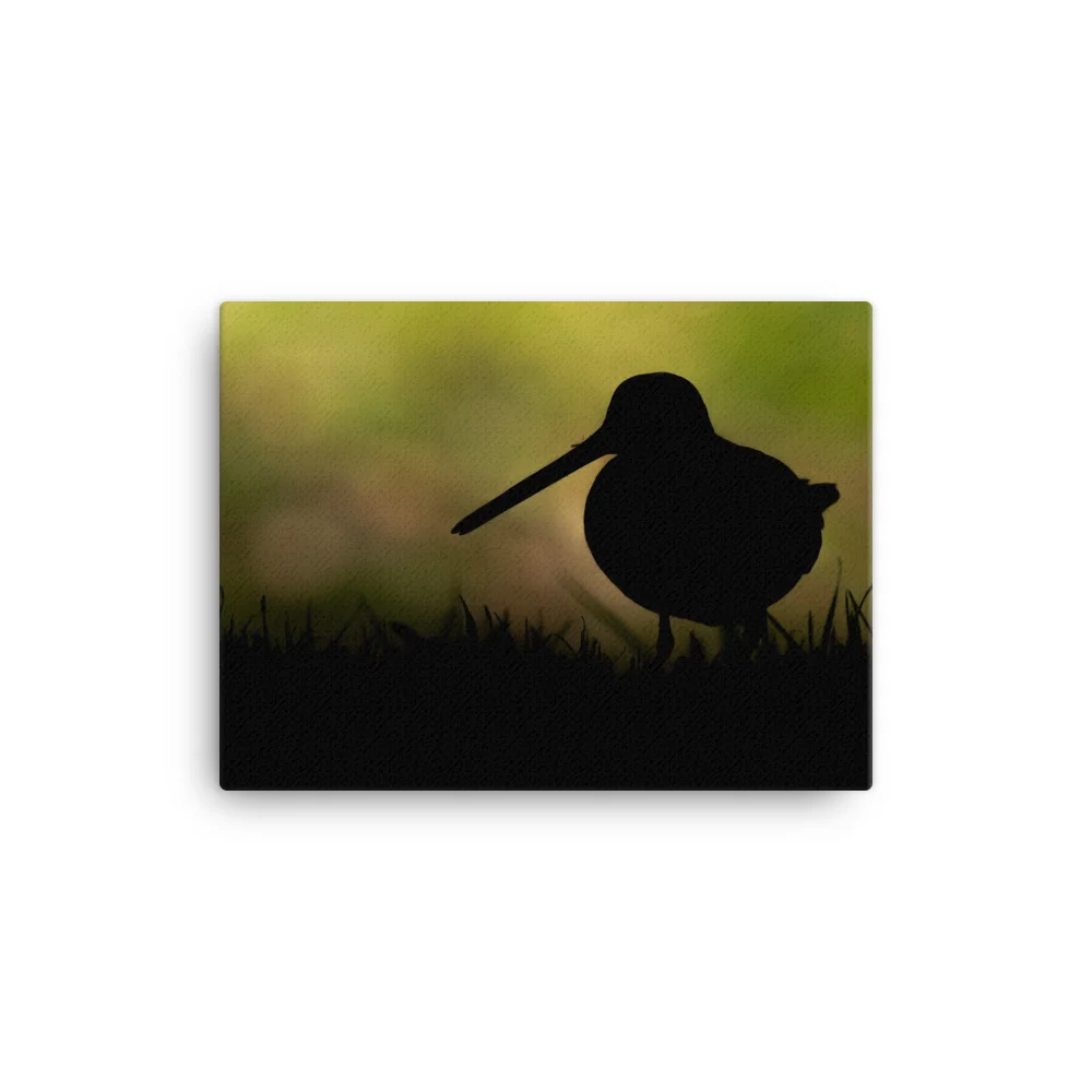 Snipe-Backlit-W-30th-October_mockup_Wall_Wall_12x16.jpg