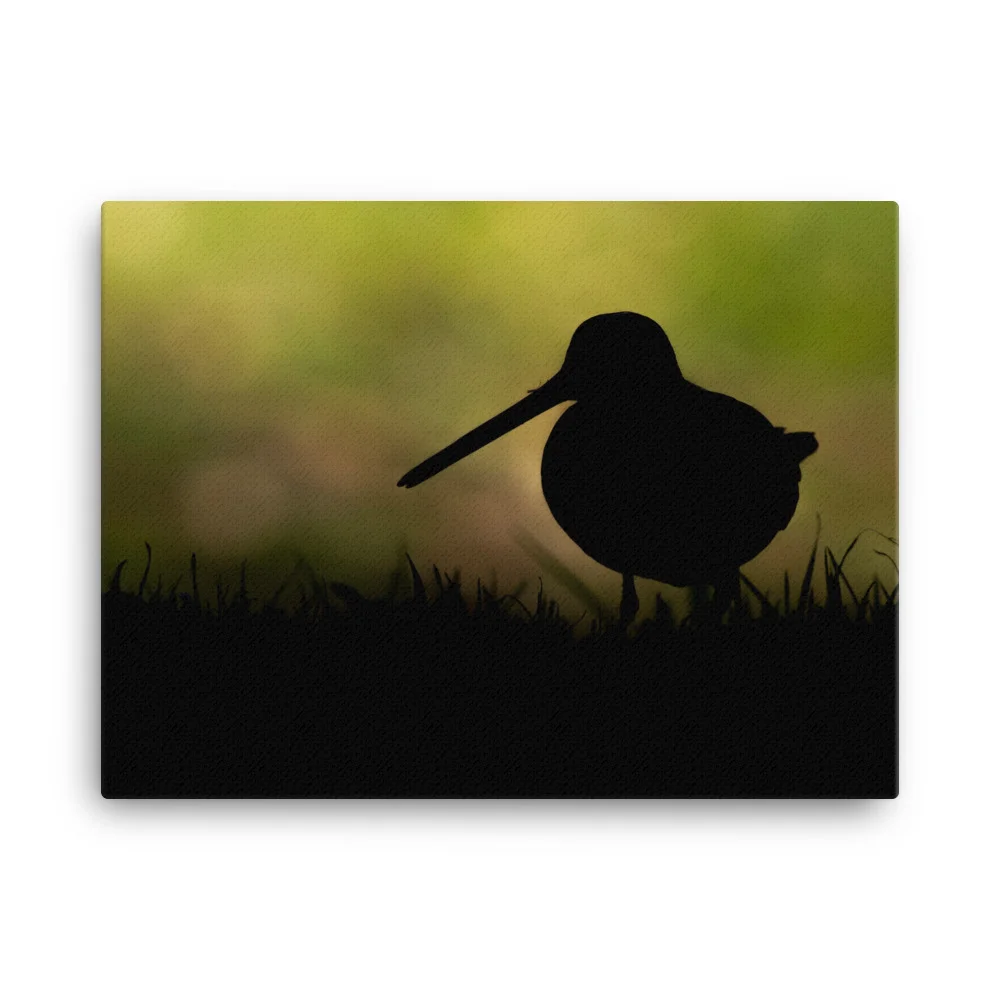 Snipe-Backlit-W-30th-October_mockup_Wall_Wall_18x24.jpg
