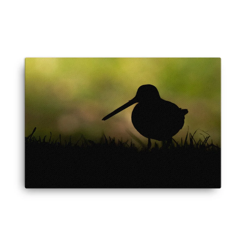 Snipe-Backlit-W-30th-October_mockup_Wall_Wall_24x36.jpg