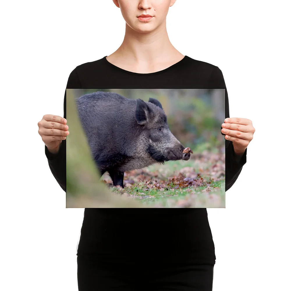 Wild-Boar-W-23th-November-17-copy_mockup_Person_Person_12x16.jpg