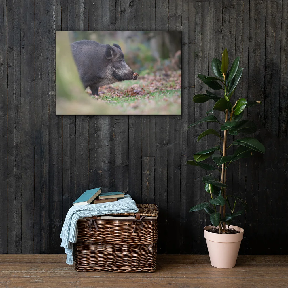 Wild-Boar-W-23th-November-17-copy_mockup_Lifestyle_Lifestyle_24x36.jpg
