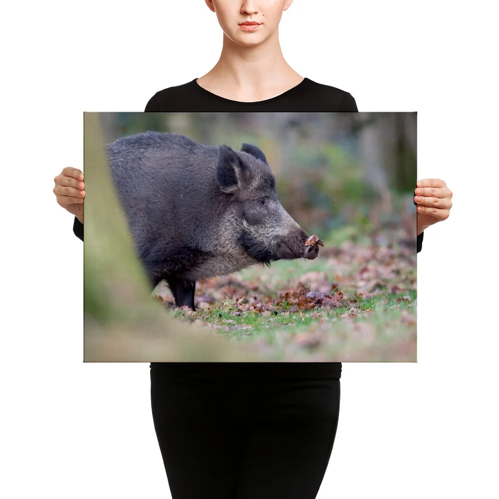 Wild-Boar-W-23th-November-17-copy_mockup_Person_Person_18x24.jpg