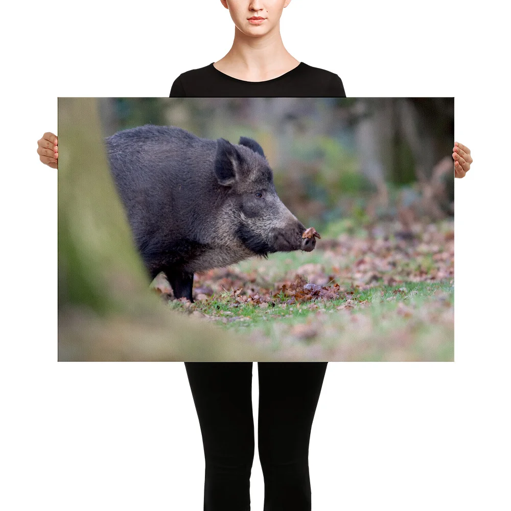 Wild-Boar-W-23th-November-17-copy_mockup_Person_Person_24x36.jpg