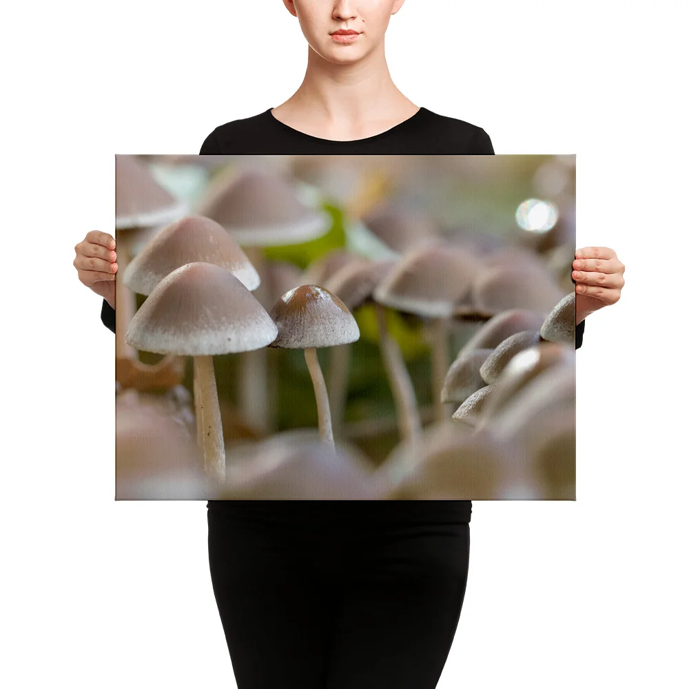Mushrooms-W-6th-September_mockup_Person_Person_18x24.jpg