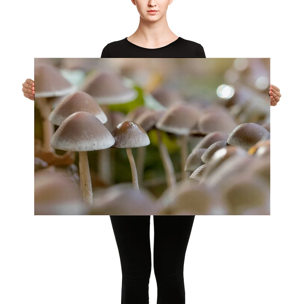 Mushrooms-W-6th-September_mockup_Person_Person_24x36.jpg
