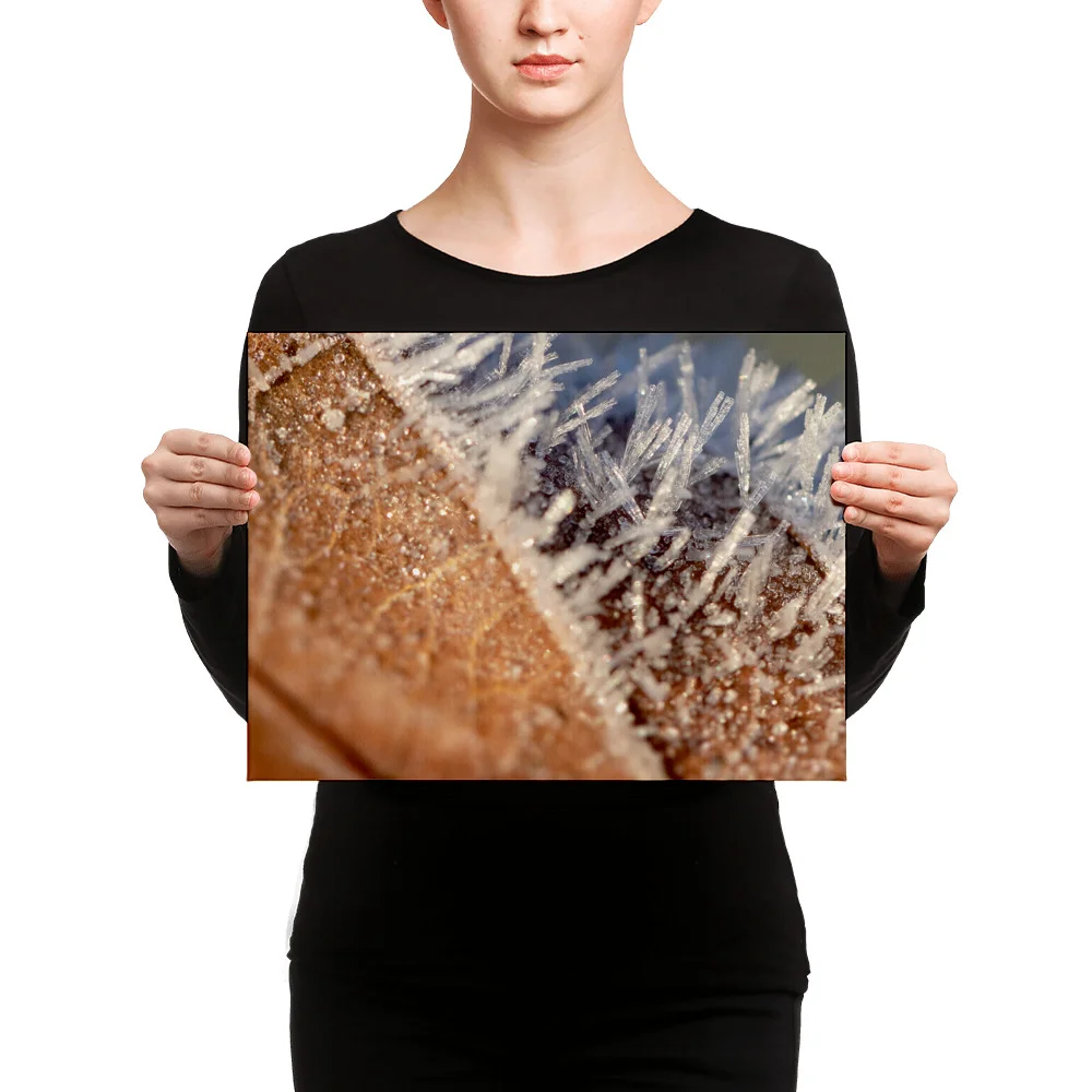 Leaf-Frost-W-4th-December_mockup_Person_Person_12x16.jpg