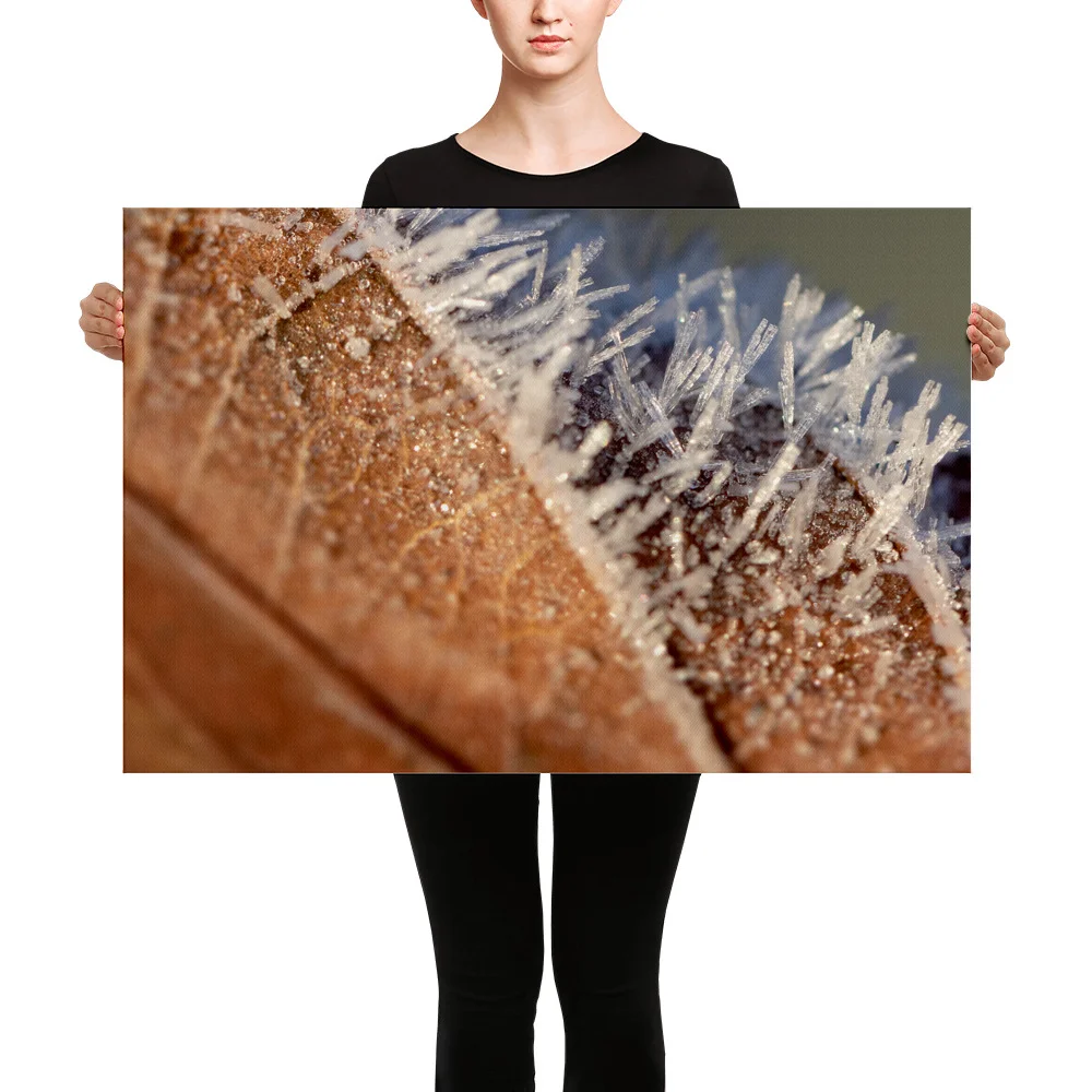 Leaf-Frost-W-4th-December_mockup_Person_Person_24x36.jpg