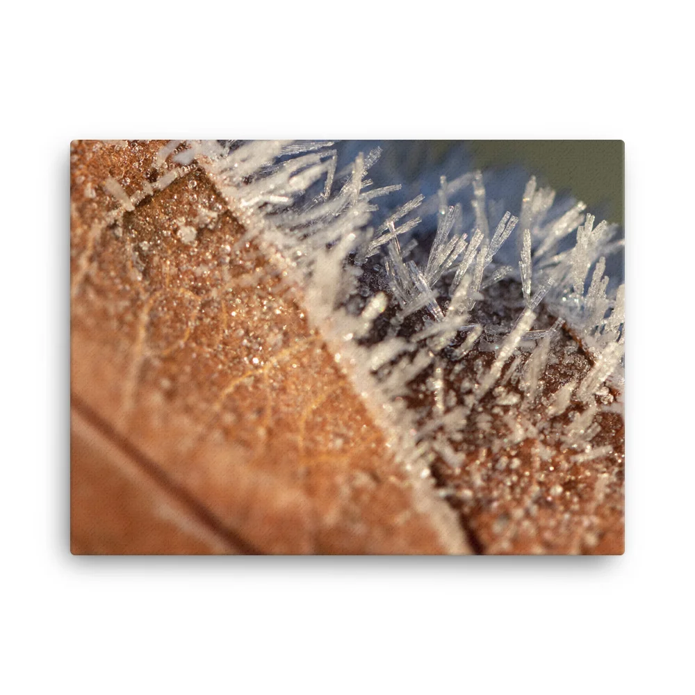 Leaf-Frost-W-4th-December_mockup_Wall_Wall_18x24.jpg
