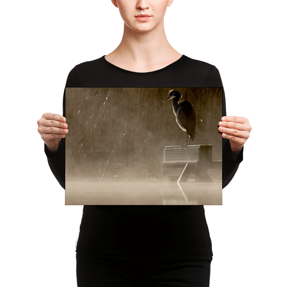 Misty-Heron-Lake-W-4th-December-copy_mockup_Person_Person_12x16.jpg