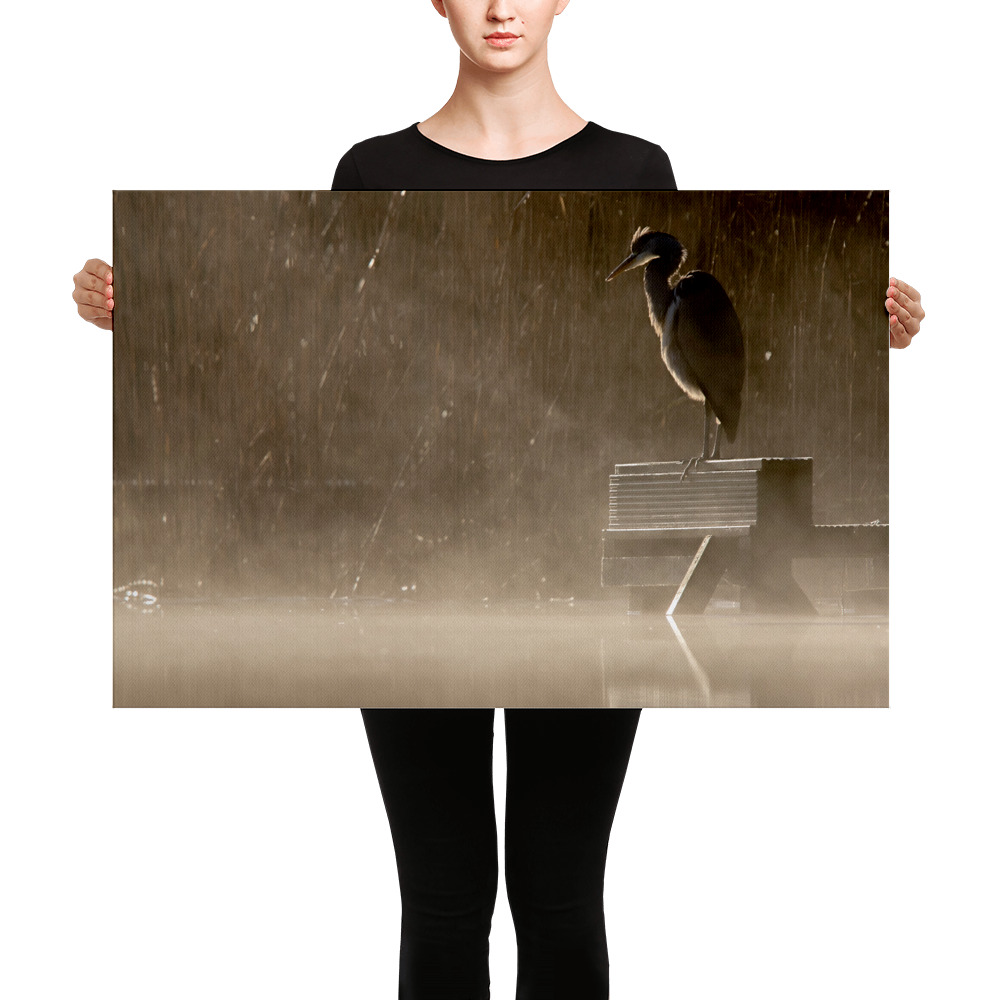 Misty-Heron-Lake-W-4th-December-copy_mockup_Person_Person_24x36.jpg