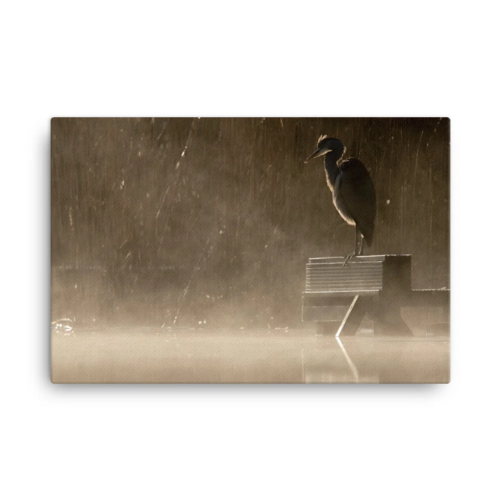 Misty-Heron-Lake-W-4th-December-copy_mockup_Wall_Wall_24x36.jpg