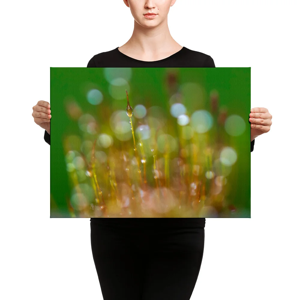 Wall-Screw-Moss-30th-January_mockup_Person_Person_18x24.jpg