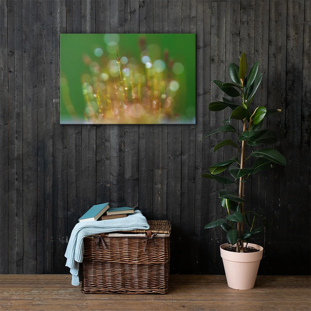 Wall-Screw-Moss-30th-January_mockup_Lifestyle_Lifestyle_24x36.jpg
