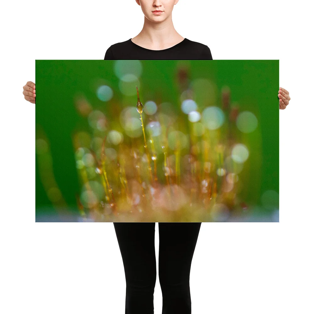 Wall-Screw-Moss-30th-January_mockup_Person_Person_24x36.jpg