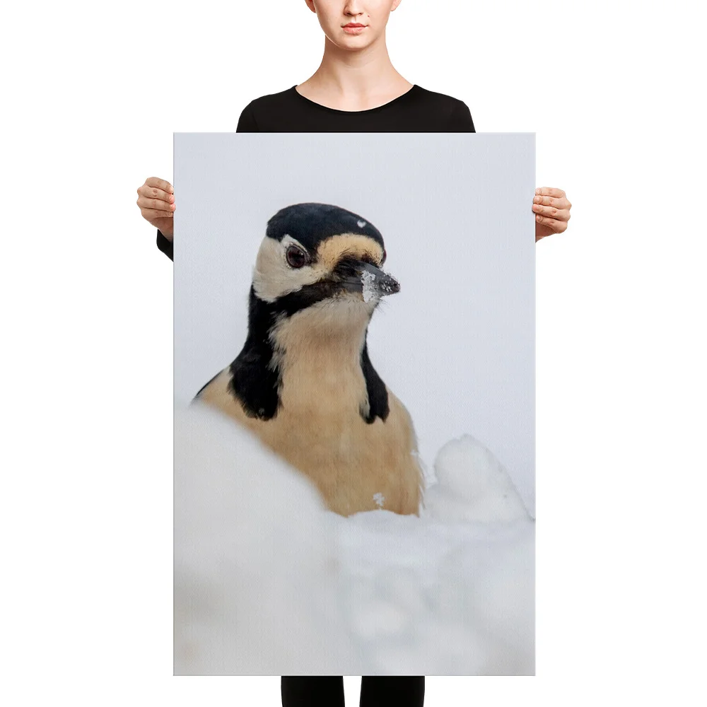 Woodepecker-Snowbeak-1st-February_mockup_Person_Person_24x36.jpg