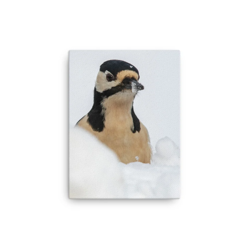 Woodepecker-Snowbeak-1st-February_mockup_Wall_Wall_12x16.jpg