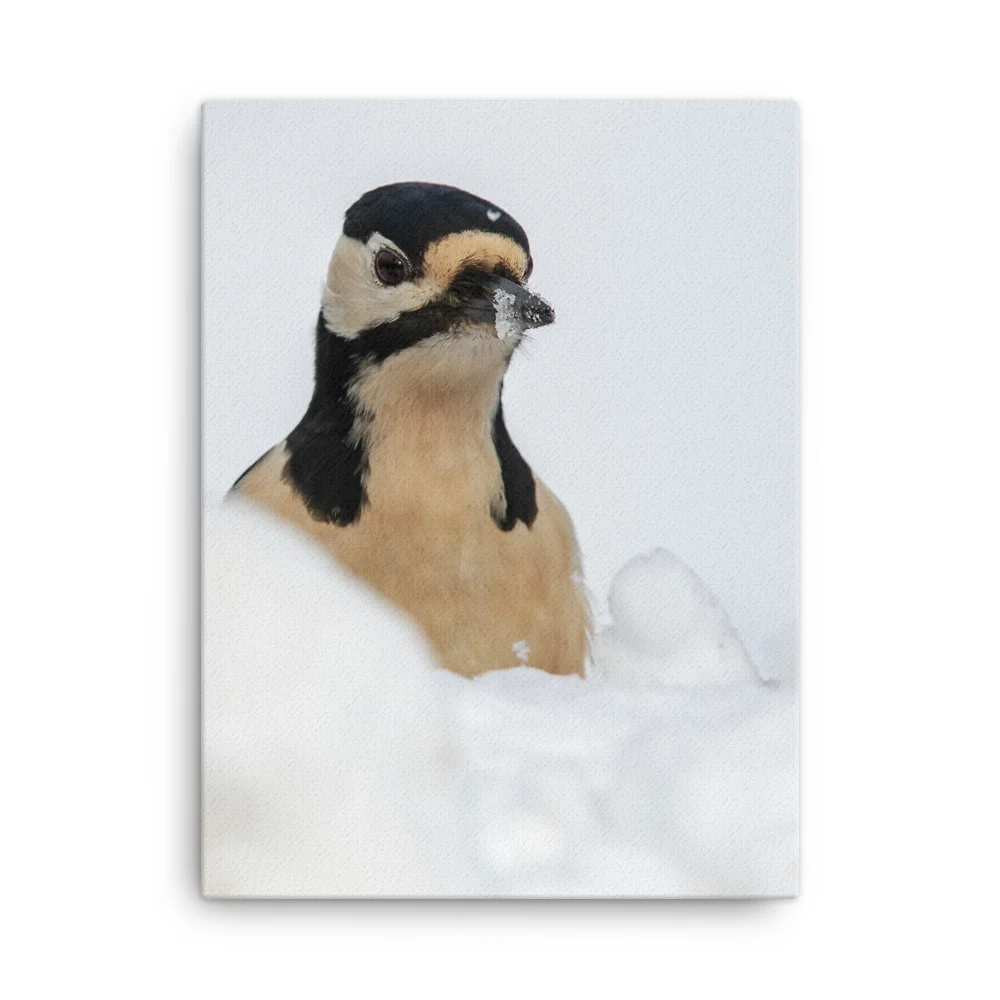 Woodepecker-Snowbeak-1st-February_mockup_Wall_Wall_18x24.jpg