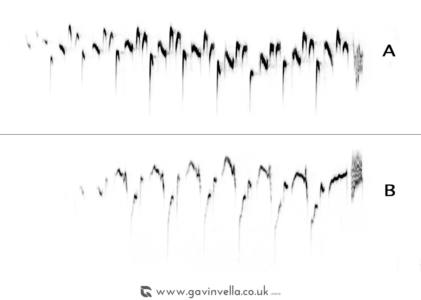 Test ID Sepctogram.jpg