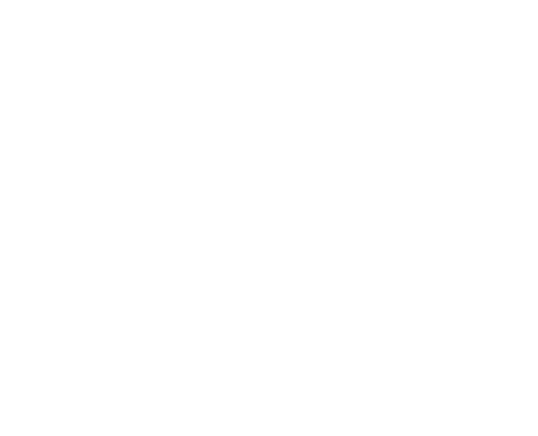 Swarovski_logo.png