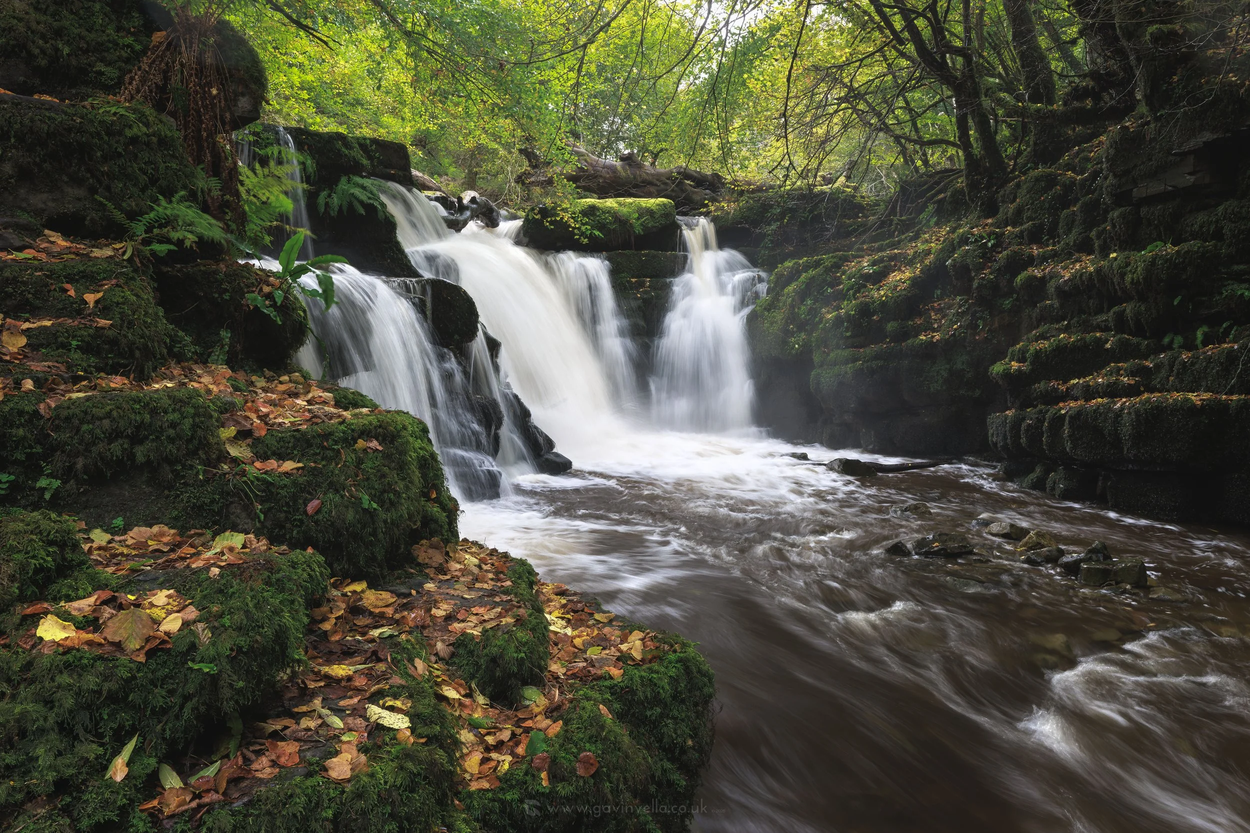 Clydach Gorge 