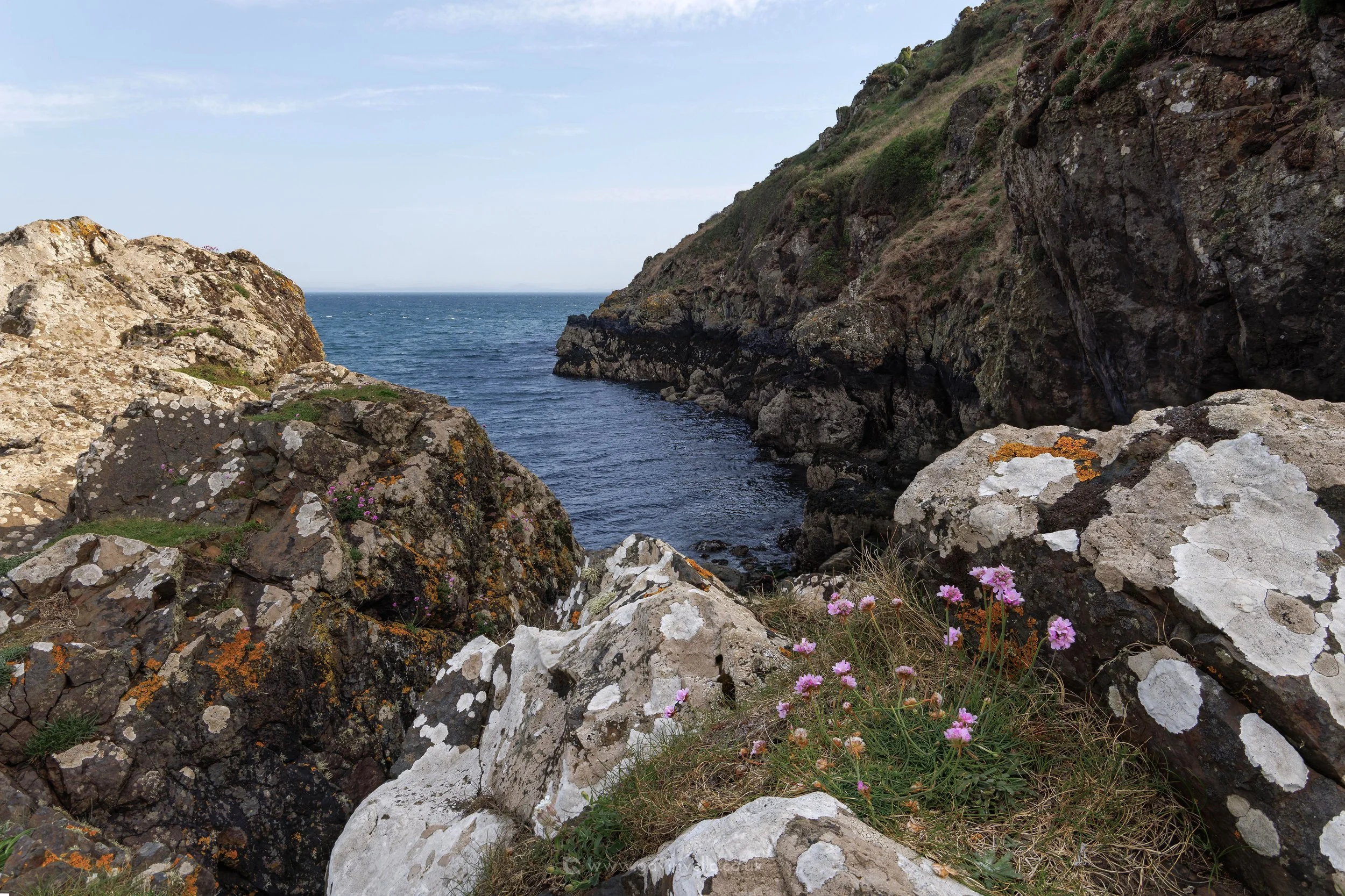 Martins Haven