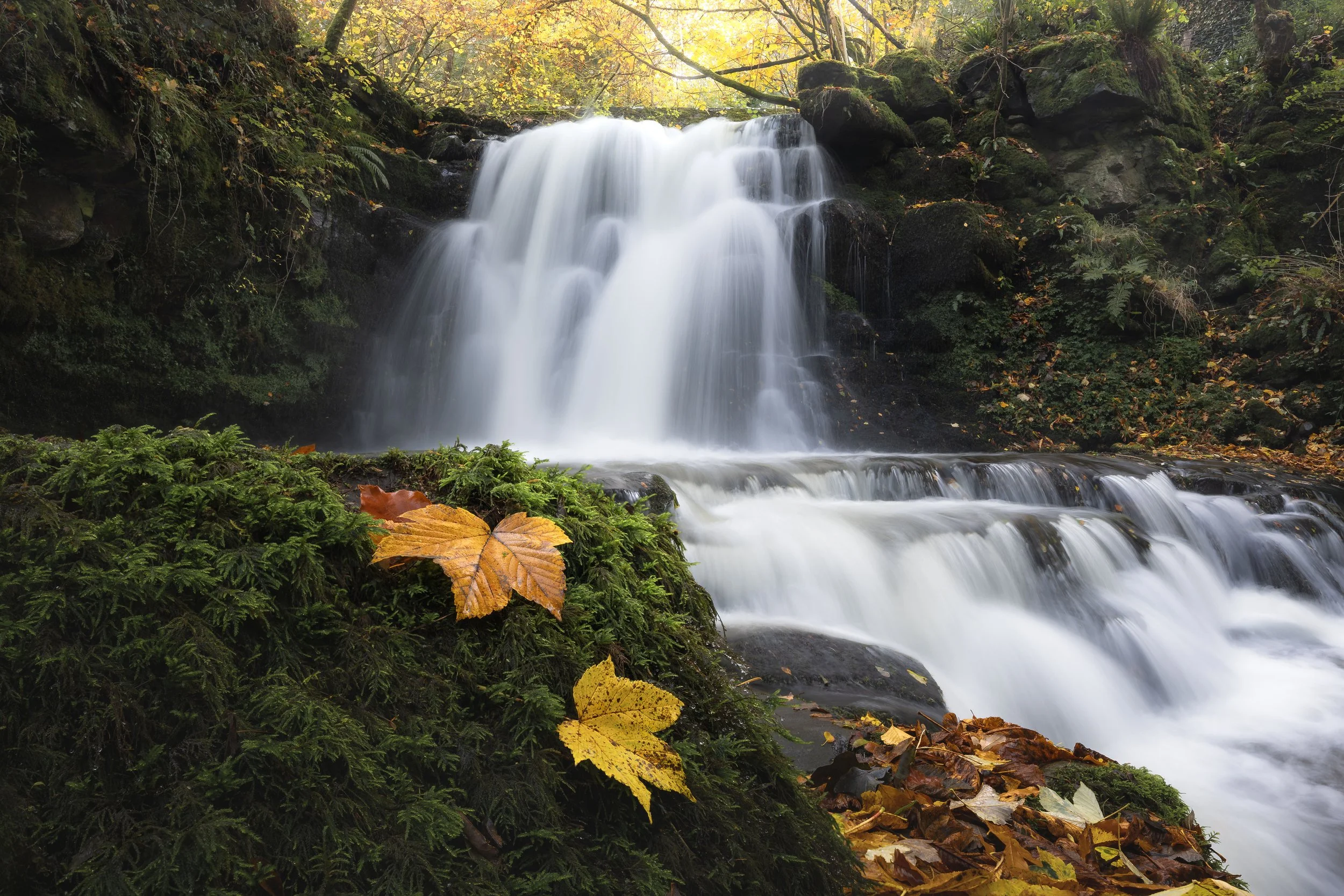 Brecon Autumn Waterfall 