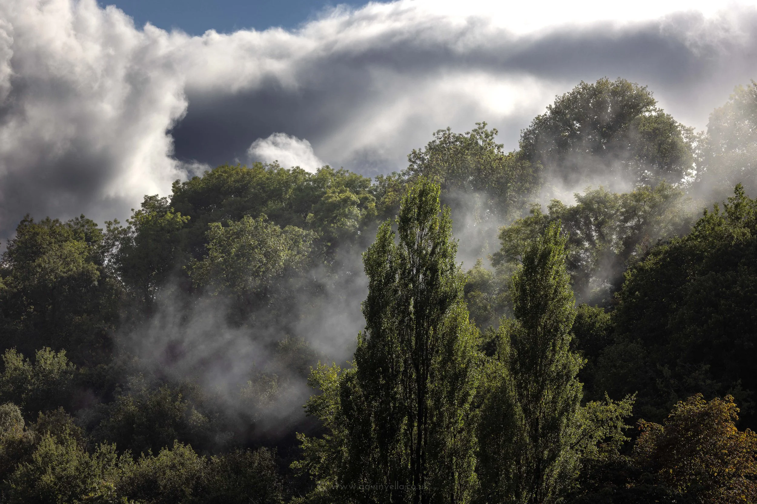 Moody Mist WS_Q3A7460 copy.jpg