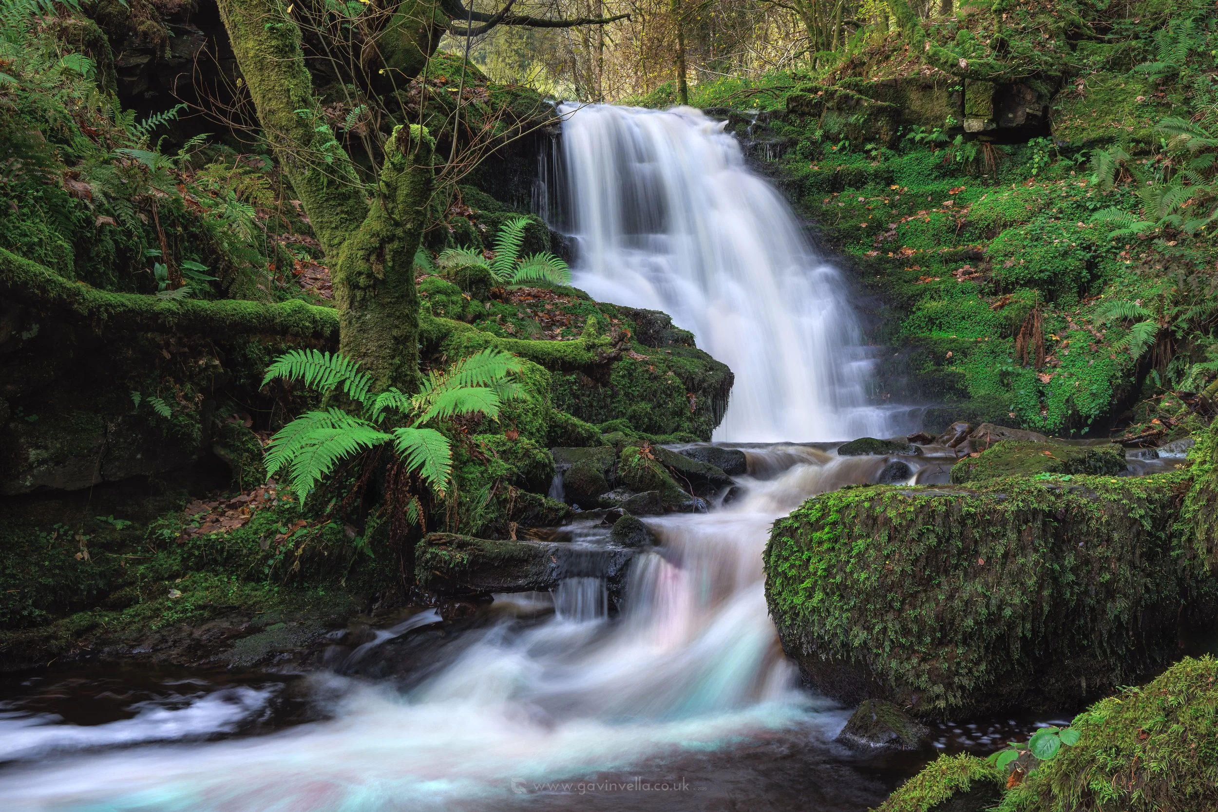Talybont Waterfall 2 WBS_Q3A1733 copy 2.jpg