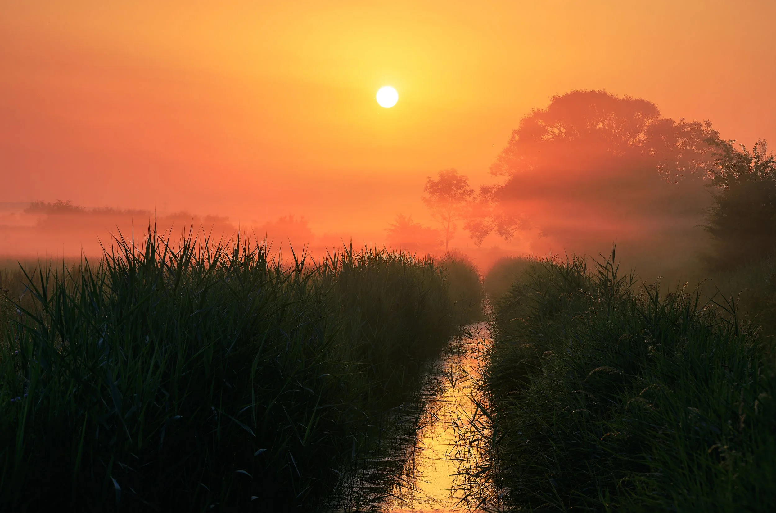 Gwent Levels Sunrise_Q3A7656 copy.jpg