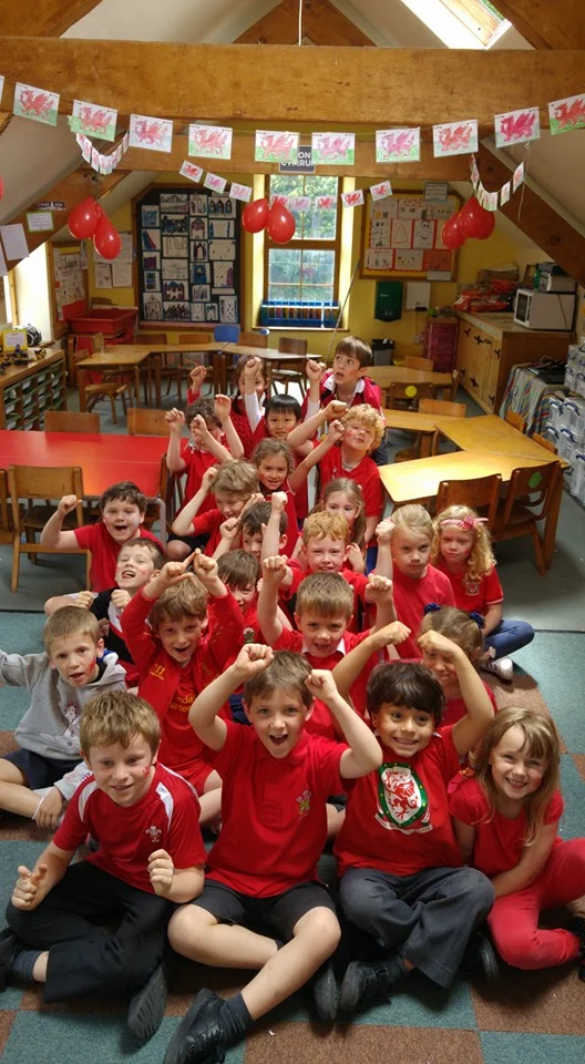 Supporting Wales in the Euro 2016 Tournament