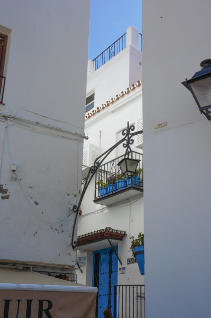 DSC07773.jpg