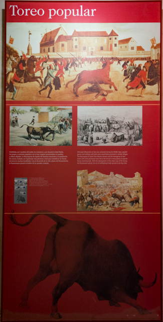 DSC08075-Edit.jpg
