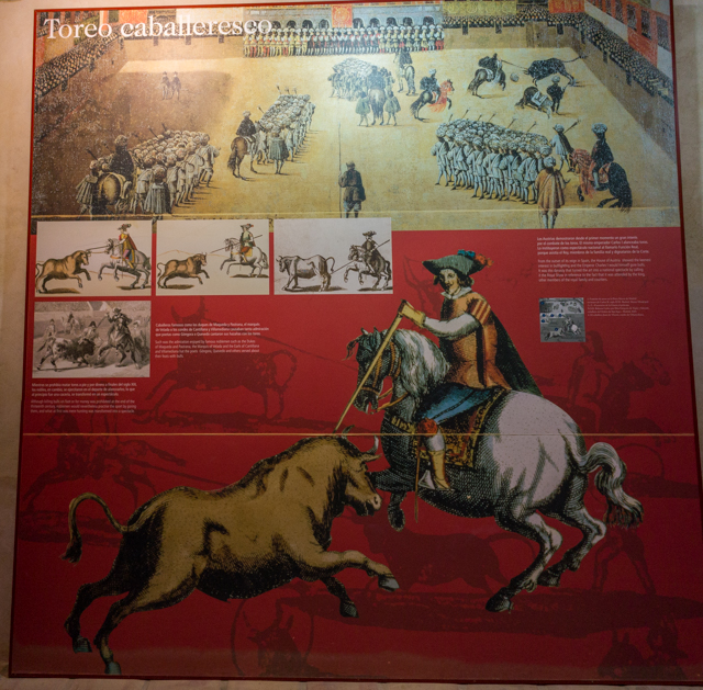 DSC08078-Pano.jpg