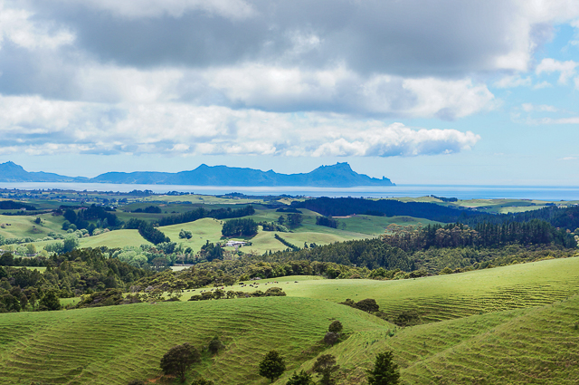Waipu and Bream Bay, with Whangarei in the distance