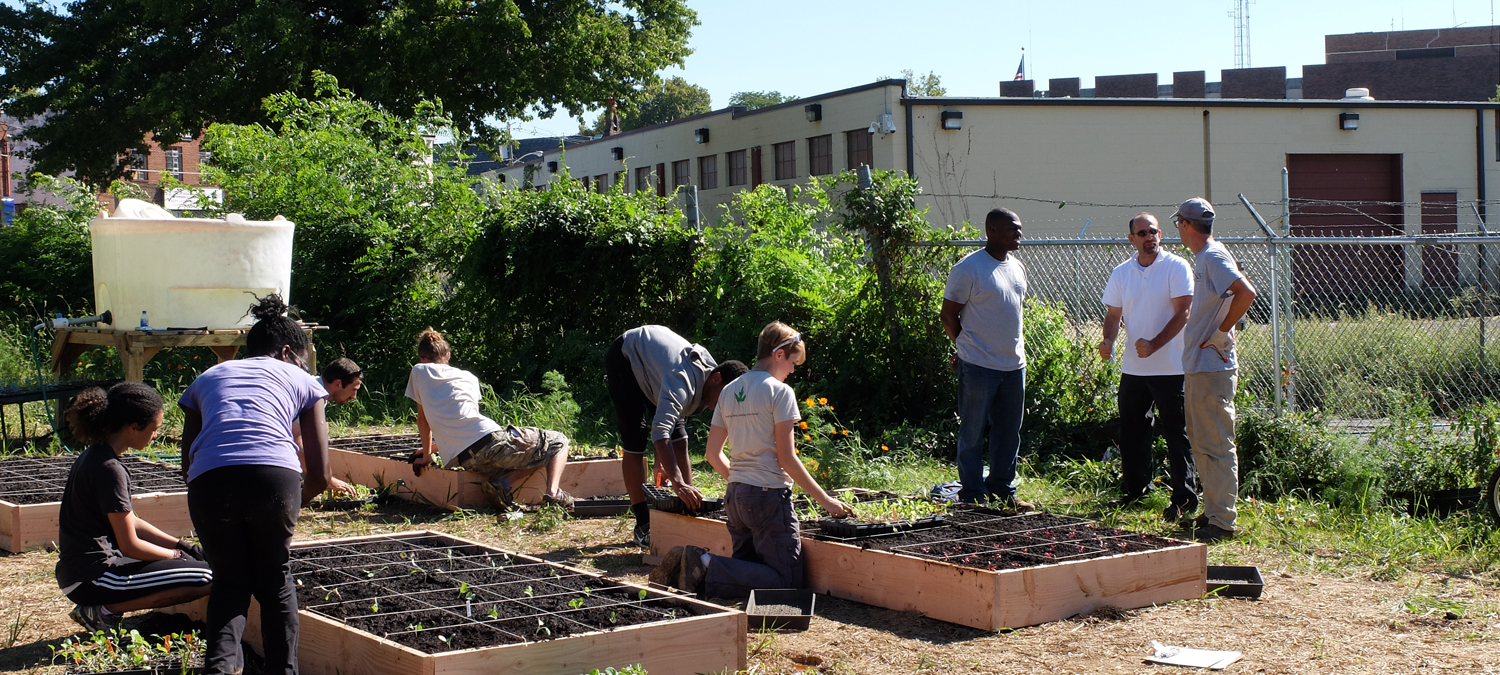 Capital City Farm