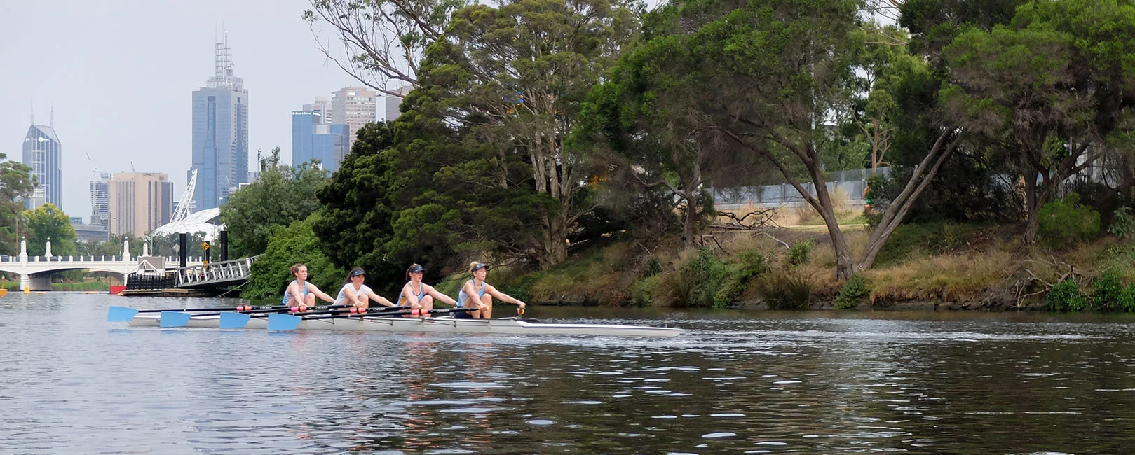 Rowing.jpg