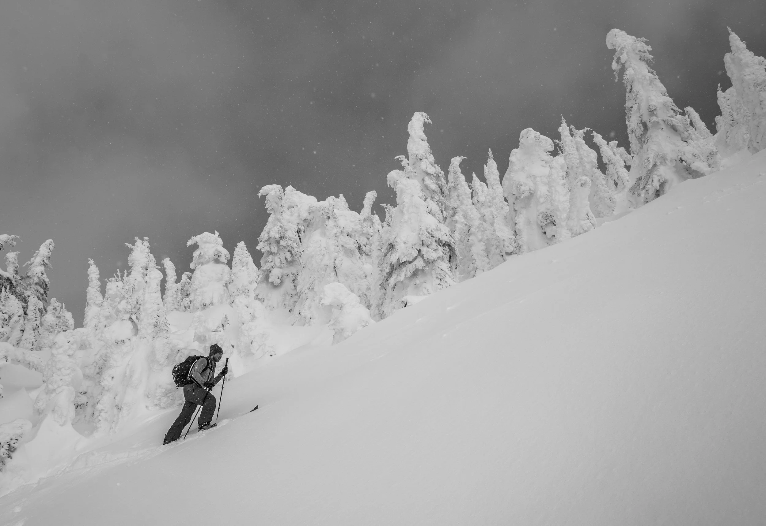 Jeff breaks trail high in the Alpine.