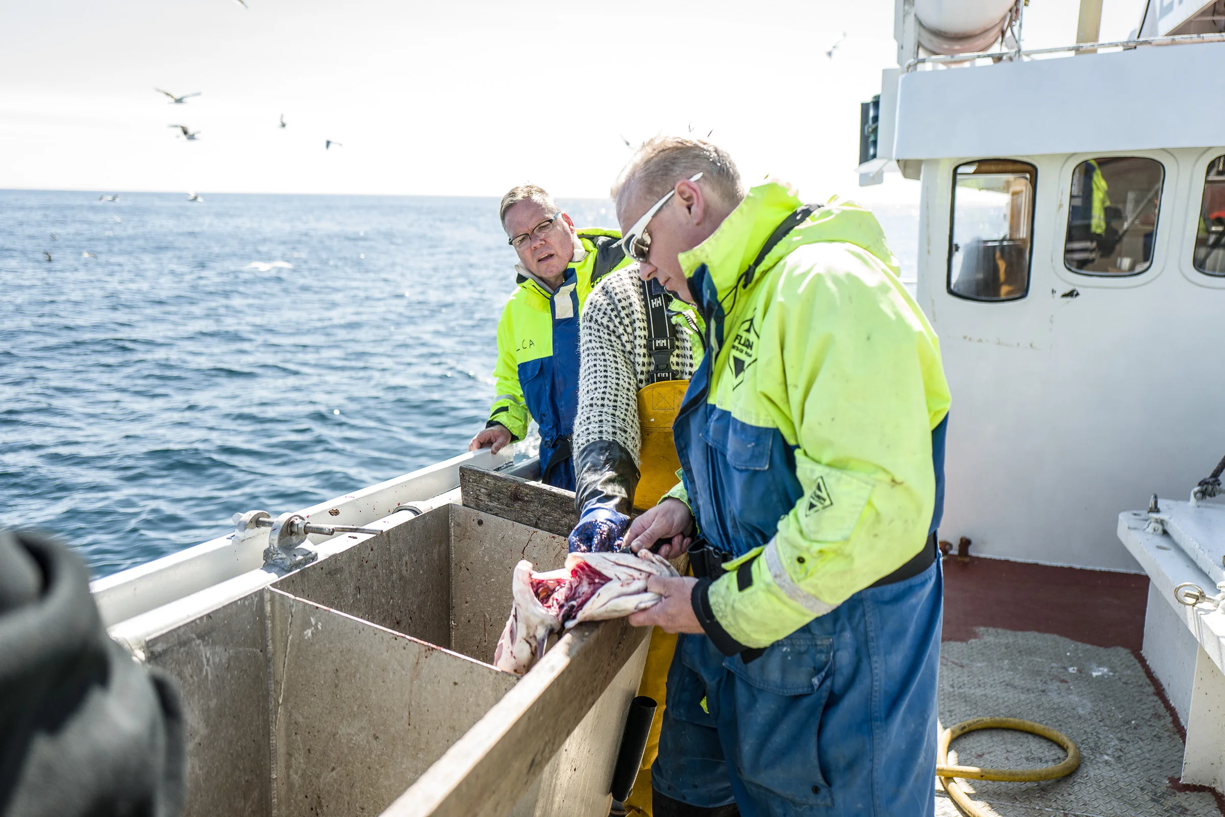 best-of-lofoten_small-135.jpg