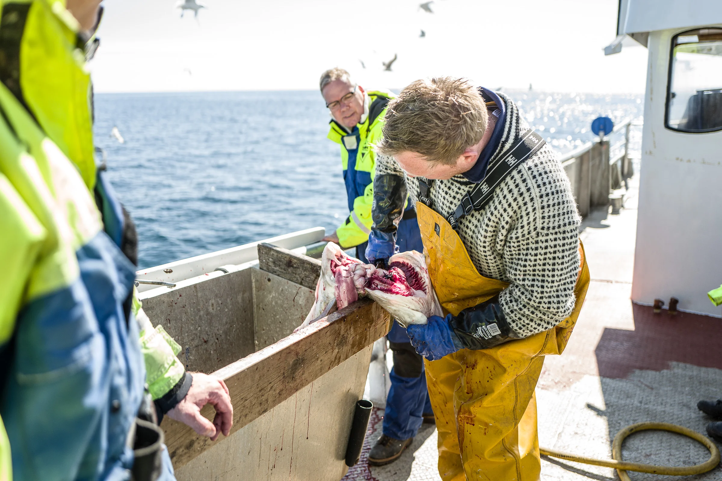 best-of-lofoten_small-142.jpg